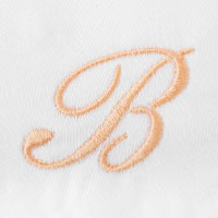 オレンジのアルファベット刺繍見本